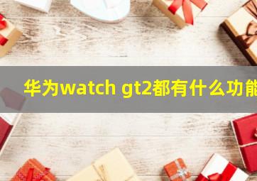 华为watch gt2都有什么功能